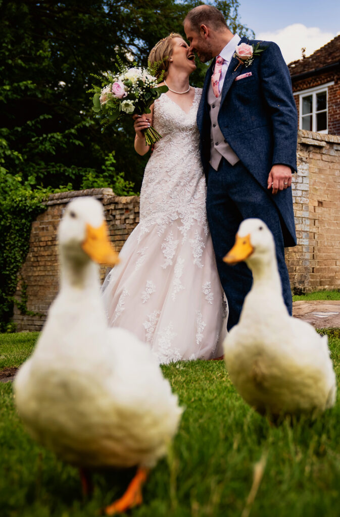 Wedding couple with ducks photobombing